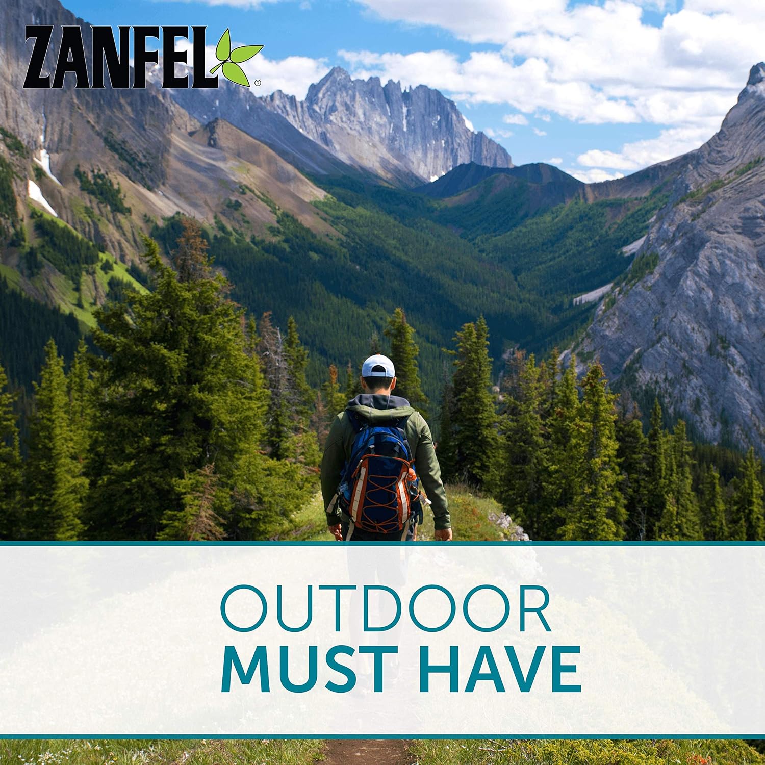 ZANFEL - Poison Ivy, Oak & Sumac Wash, 1 Oz 24Hr Smart